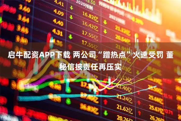 启牛配资APP下载 两公司“蹭热点”火速受罚 董秘信披责任再压实