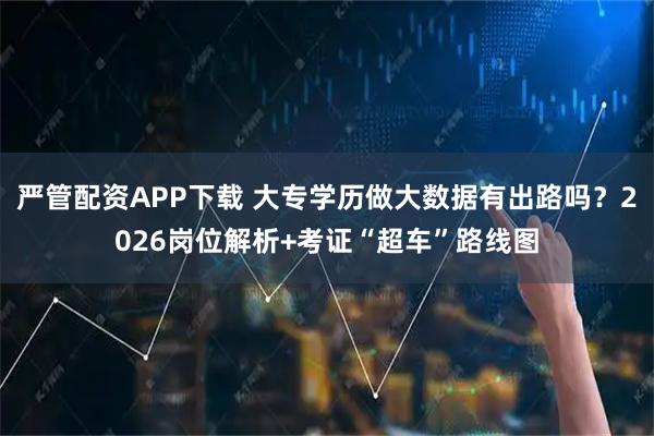 严管配资APP下载 大专学历做大数据有出路吗？2026岗位解析+考证“超车”路线图